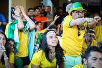 Torcida Brasil