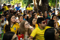 Torcida Brasil