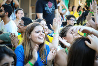 Torcida Brasil