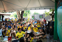 Torcida Brasil