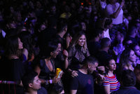 Anitta no Bosque (3)