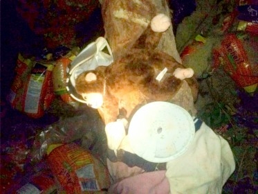 Mas um grave acidente com caminhão na ladeira da bananeira entre Tanque Oeiras - Imagem 1