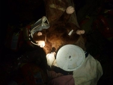 Mas um grave acidente com caminhão na ladeira da bananeira entre Tanque Oeiras - Imagem 7