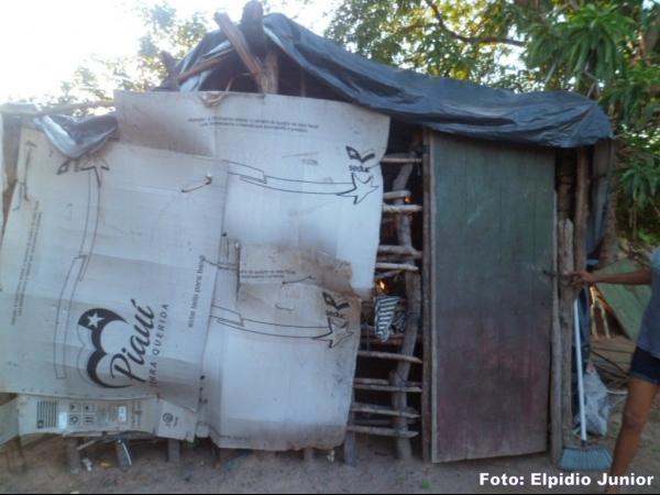 Colônia do Piauí: Casal vive em condições precárias morando em casa de papelão - Imagem 1