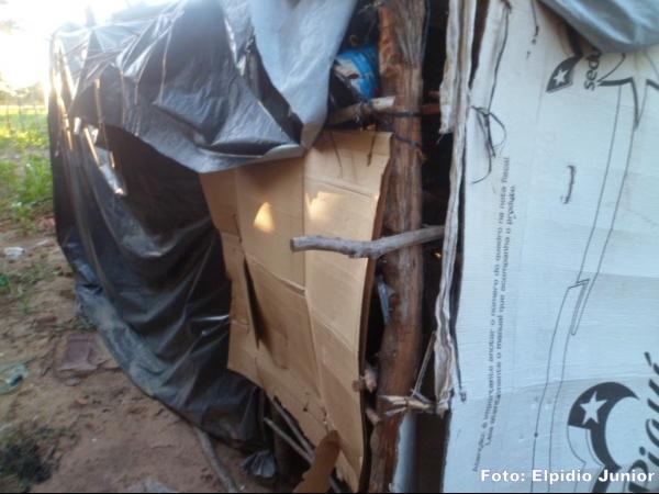 Colônia do Piauí: Casal vive em condições precárias morando em casa de papelão - Imagem 3