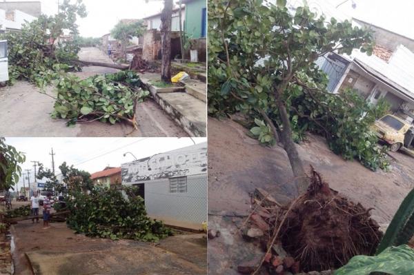 Temporal atinge Francinópolis - Imagem 1