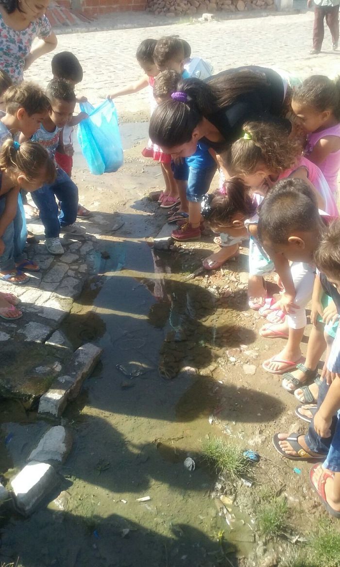 Educação de Alegrete se mobiliza em combate ao Aedes aegypti - Imagem 4