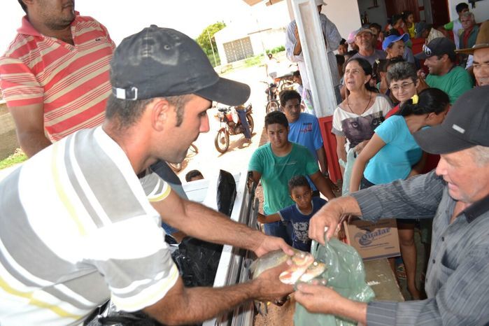 Prefeitura de Alegrete distribui peixes para a população - Imagem 48