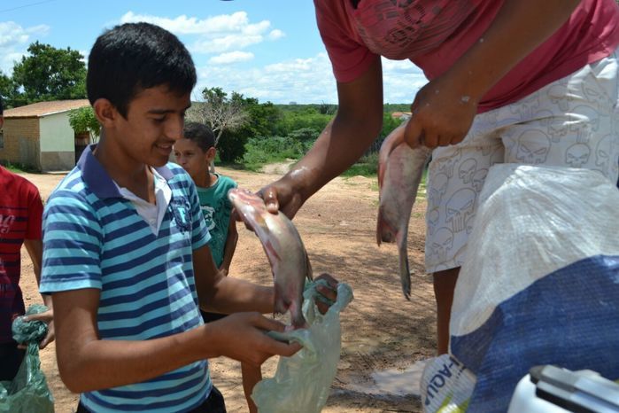Prefeitura de Alegrete distribui peixes para a população - Imagem 21