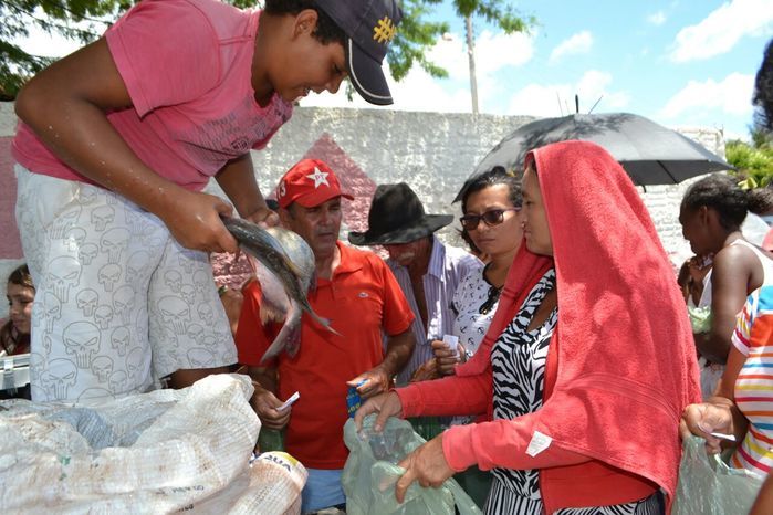 Prefeitura de Alegrete distribui peixes para a população - Imagem 28