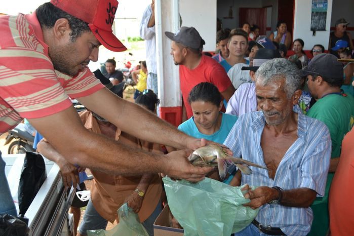 Prefeitura de Alegrete distribui peixes para a população - Imagem 40