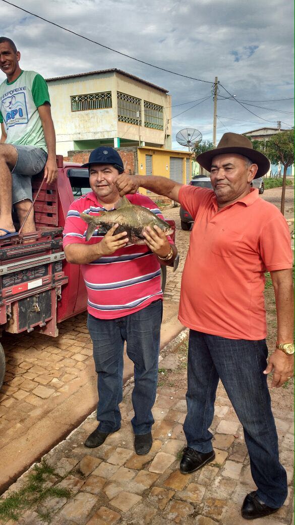 Prefeitura de Alegrete distribui peixes para a população - Imagem 1