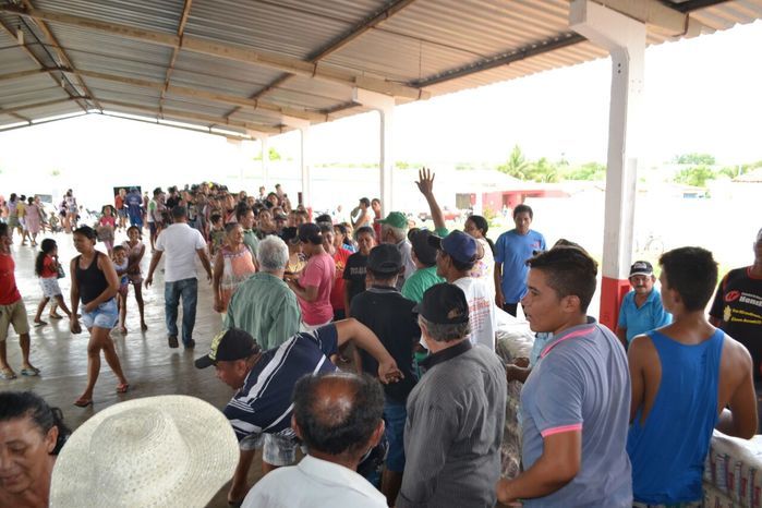 Prefeitura de Alegrete distribui peixes para a população - Imagem 53