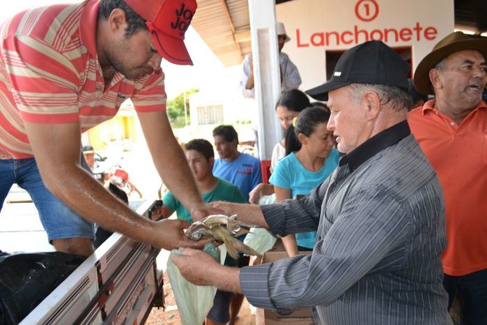Prefeitura de Alegrete distribui peixes para a população - Imagem 44