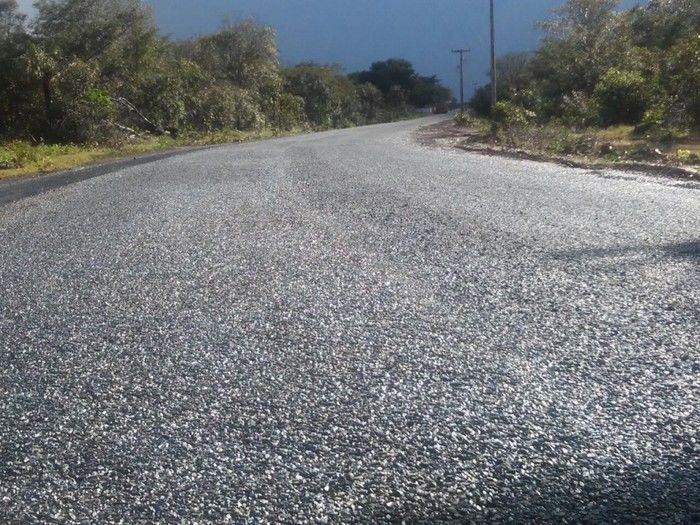 Asfalto da PI- 331 será inaugurado em breve, garante Zé Resende - Imagem 2