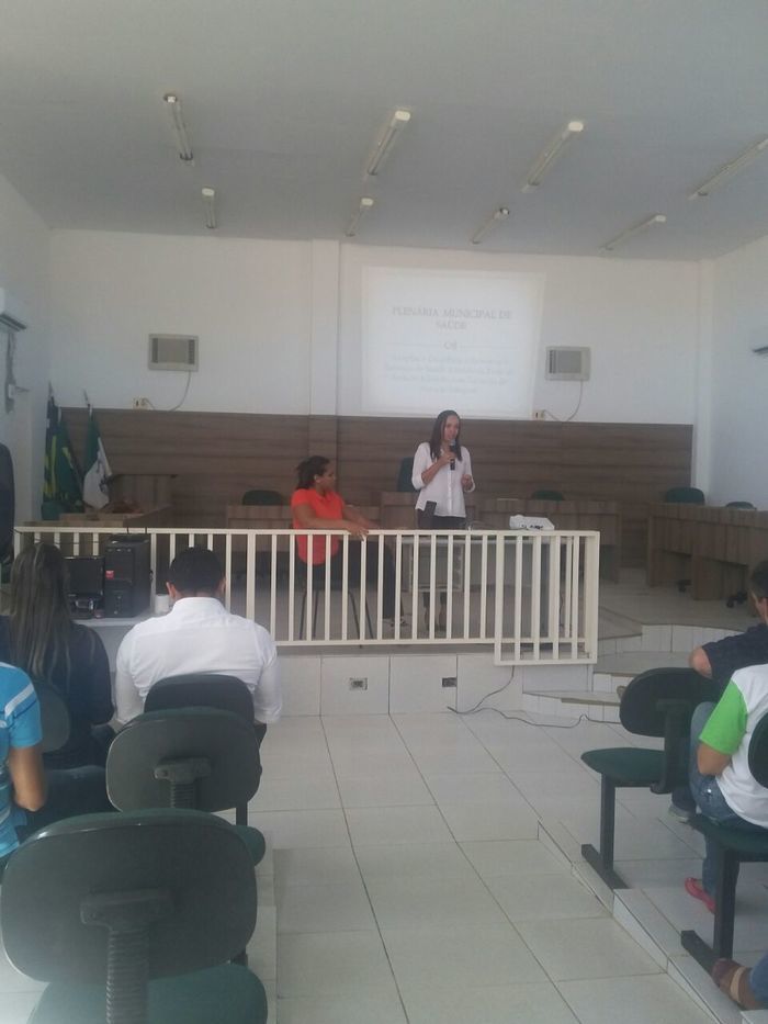 Primeira Plenária de Saúde do município de Francinópolis - PI - Imagem 10