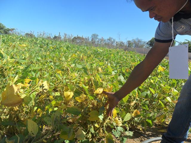 Prefeito participa do 1° Dia do Agricultor - Imagem 21