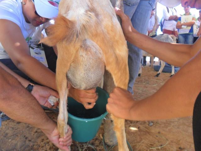 Prefeito participa do 1° Dia do Agricultor - Imagem 25