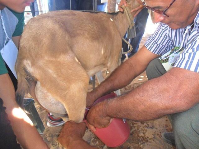 Prefeito participa do 1° Dia do Agricultor - Imagem 26