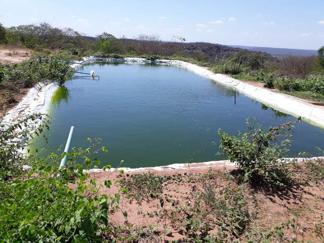 Secretaria Mun. de Agricultura e SENAR realizaram o curso Negócio Certo Rural em Dom Expedito Lopes - Imagem 13