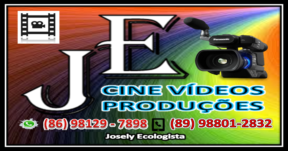 Educação de Dom Expedito Lopes participa de formação do PNAE em Patos do Piauí - Imagem 8