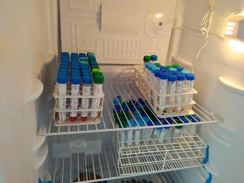 Município intensifica procedimentos no combate ao Covid-19 - Imagem 3