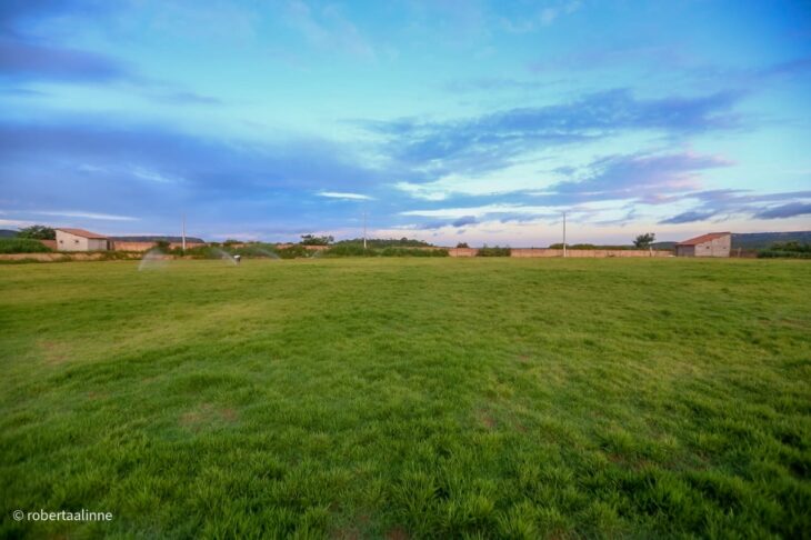 Governador inaugura polo da UAPI, e visita obras em Manoel Emídio - Imagem 9