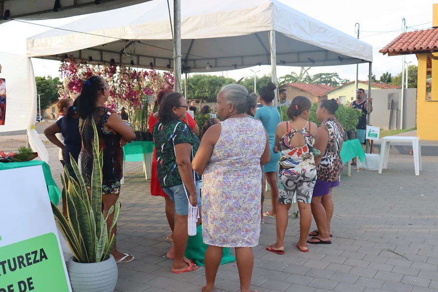 São Pedro do Piauí realiza Exposição Ambiental em praça pública - Imagem 5