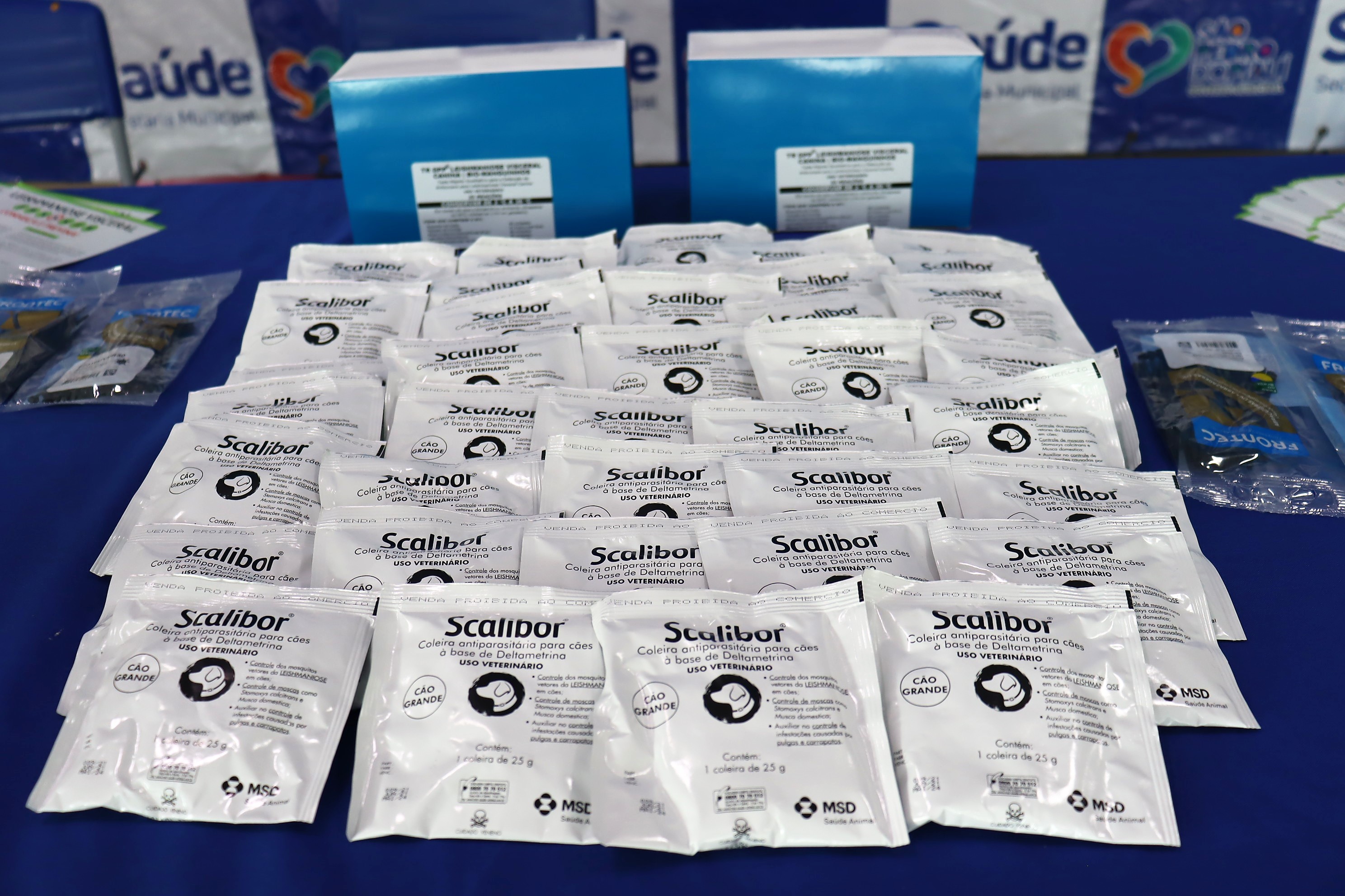 Saúde de São Pedro do Piauí inicia Programa de encoleiramento canino - Imagem 5