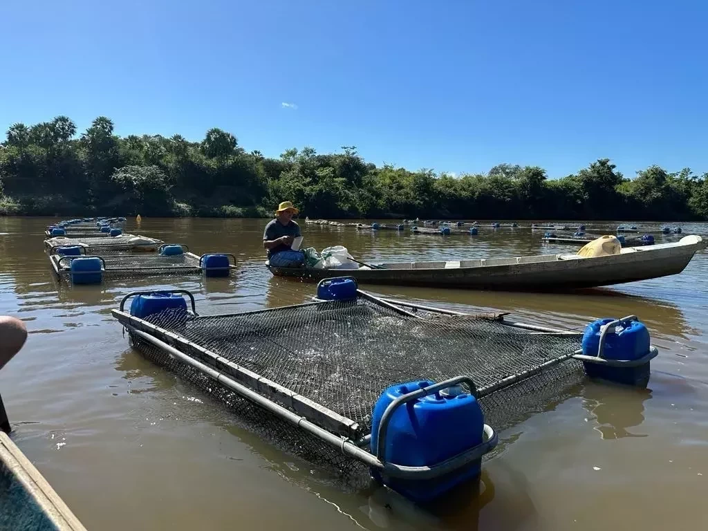 Inscrições para XII Encontro dos Projetos de Pesca e Aquicultura estão abertas./Foto: Reprodução