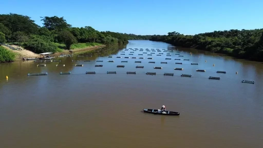 Inscrições para XII Encontro dos Projetos de Pesca e Aquicultura estão abertas./Foto: Reprodução