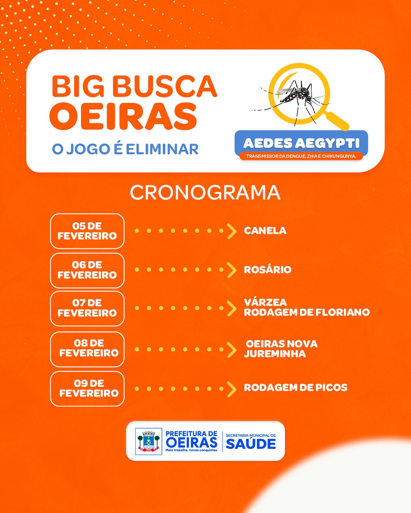 Saúde prepara mutirões de combate ao mosquito Aedes aegypti em Oeiras - Imagem 1