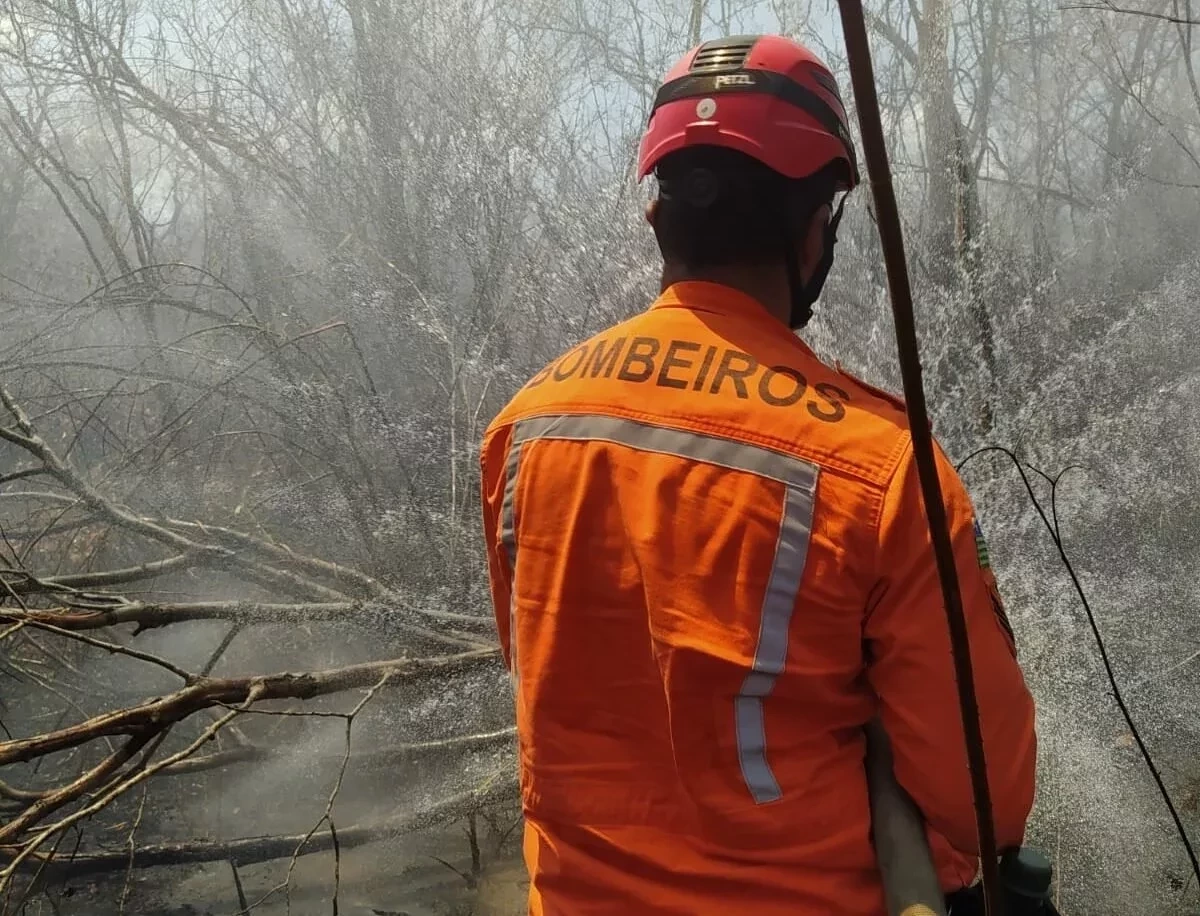 Uso de fogo para manejo de vegetação é proibido no Piauí, diz portaria - Foto: Ascom