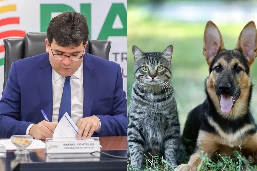 Fonteles sanciona lei para proteção animal e controle de reprodução de cães  e gatos